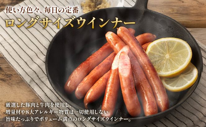 えびの高原 ロングサイズウインナー 176g×6パック 合計 1056g 豚肉 牛肉 人気 おかず お弁当 おつまみ 総菜 冷蔵 加工品 焼肉 ギフト 九州 宮崎県 えびの市 送料無料