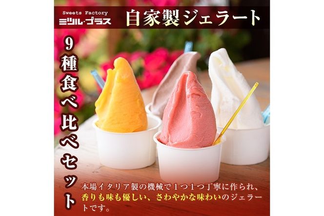 【I-3】＜先行予約受付中！2025年6月から順次発送予定＞自家製こだわり製法！焼きドーナツ(15個)・ジェラート(9個)【ミツル・プラス】