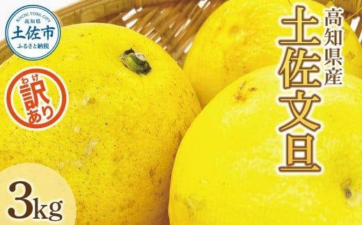 【先行予約】【訳あり】土佐文旦（ぶんたん）家庭用（M～5L）約3kg 〈2027年2月中旬～発送〉 文旦 3キロ 土佐文旦発祥の地 産地直送 約4～10玉 大玉 ぶんたん 訳あり【株式会社とさもん】 [BQAE043]