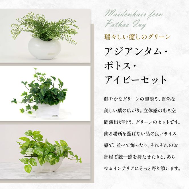 観葉植物 エミリオ・ロバ 3点セット アジアンタム ポトス アイビー 造花 シダ つる性 Sサイズ 卓上 フェイクグリーン アーティフィシャルグリーン 人工観葉植物 インテリア 水やり不要 テーブル リビング 玄関 ギフト 贈り物 三重県