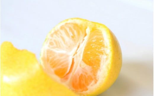 ＼光センサー選別／＼農家直送／甘くて濃厚！希少品種 ご家庭用 ゆら早生みかん　約2kg　サイズ混合【2026年10月上旬頃より順次発送】【nuk143E】