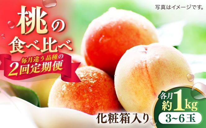 【2026年6月〜発送】【2回定期便】南島原の桃を食べ比べ 化粧箱入り 計2kg 日川白鳳 夢富士 あかつき なつっこ / 桃 もも ハウス桃 フルーツ 果物 / 南島原市 / ふくはちファーム[SBS001]