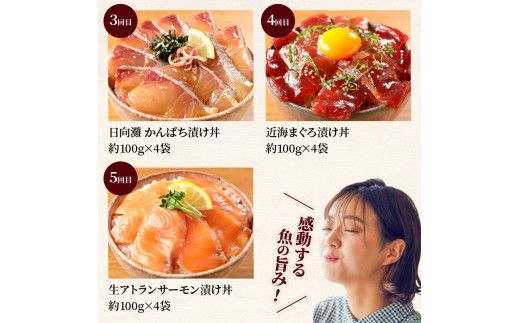 日向灘 お魚の漬け丼 バラエティ 5回 定期便　N019-YE097