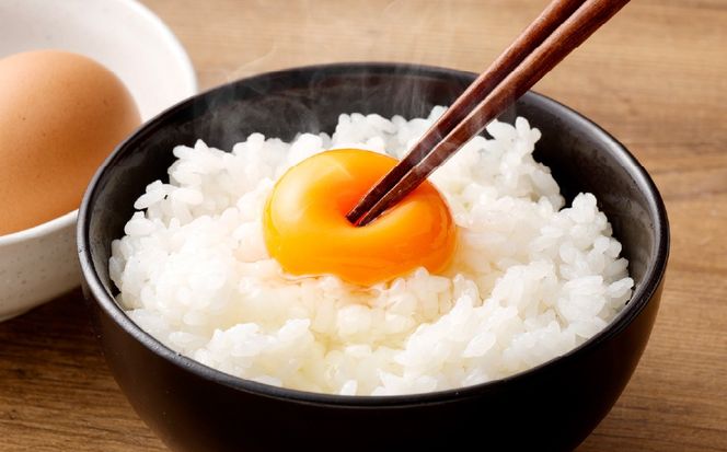  【令和7年産米】にいがた岩船産コシヒカリ（神林産地）5kg　A4134