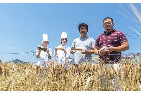 【 つまんでご 卵 】糸島 ロールケーキ & マカロン 5個 詰め合わせ セット《糸島》【緑の農園】卵 たまご 菓子 焼き菓子 ケーキ [AGA003]