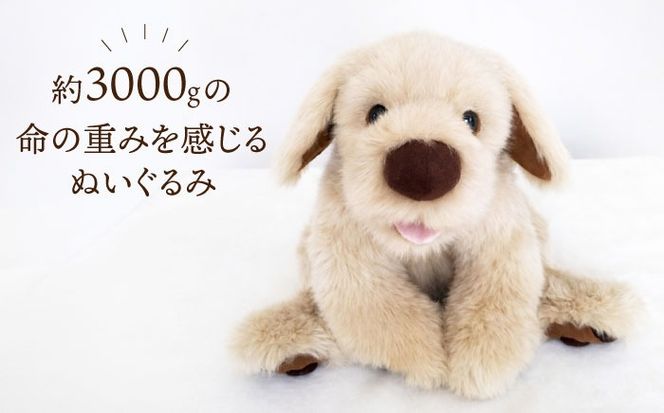 セラピー！？ロボット？「パトラン」（重たいぬいぐるみ）《糸島》【科学工房未來】[AYI001] おもちゃ ぬいぐるみ セラピー 犬 プレゼント ギフト ぬいぐるみおもちゃ ぬいぐるみセラピー ぬいぐるみ犬 ぬいぐるみプレゼント ぬいぐるみギフト