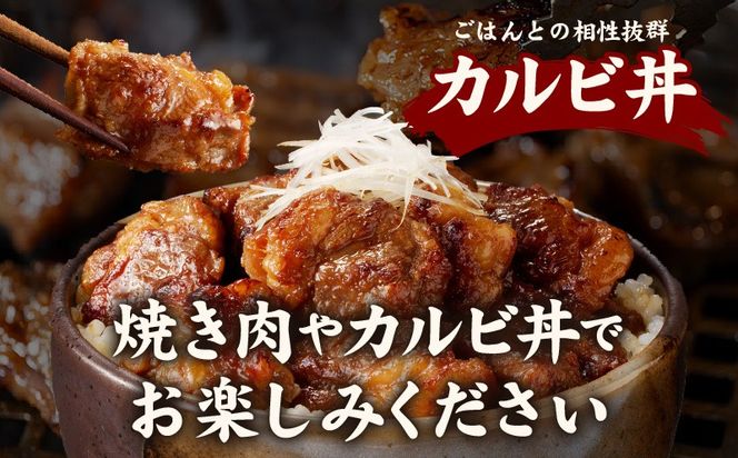 099H2301 焼き肉専門店 自家製タレ漬け 中落ちカルビ 合計500g（250g×2）