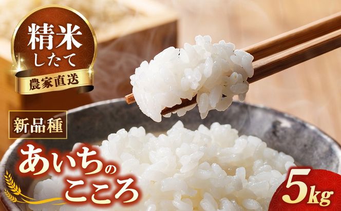 【先行予約】新米 令和8年産 あいちのこころ 5kg ※2026年10月～発送