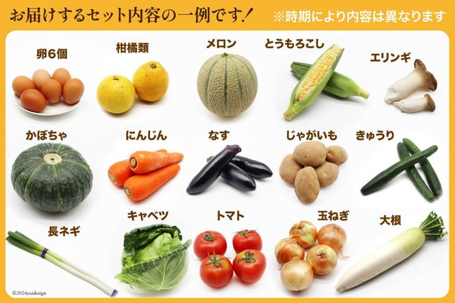 BE236 旬の野菜・フルーツ (12〜14品目)・卵 (6個) おまかせ