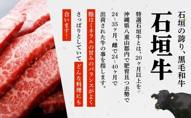 【2025年11月以降順次発送】希少な特選石垣牛をご家庭で！！切り落とし焼き肉用とスライスの大満足食べ比べ 合計1.2kg &石垣牛 MARU秘伝の焼肉タレ100ml×1本