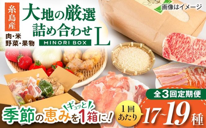 【全3回定期便】糸島産 肉 米 野菜 果物 厳選詰め合わせ MINORI BOX Lサイズ 糸島市 / emma.Inc / 米 肉 野菜 果物 詰め合わせ[AOP016]