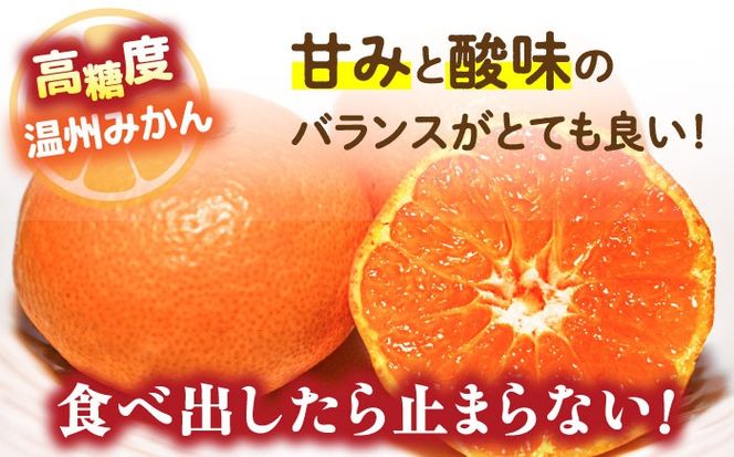 【2024年12月〜発送】【大満足！ 2回 定期便 】高糖度温州みかん約10kg （計約20kg） / みかん 南島原市 / 南島原果物屋 [SCV002]