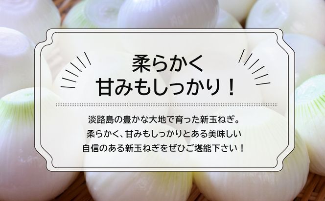 淡路島新玉ねぎ5キロ
