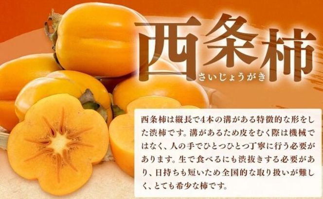 佐那河内村産 こだわりの西条柿 300g(真空パック) 山本清 《30日以内に出荷予定(土日祝除く)》│ 干し柿 干柿 柿 かき カキ フルーツ 果物 くだもの 農家直送 家庭用 秋の味覚 旬 徳島県 佐那河内村---sanagouchi_ymk_1_300g---