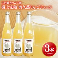 【三村観光りんご園】樹上完熟 奥久慈りんごジュース 720ml×3本セット（BX005）
