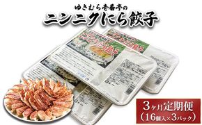 【3ヶ月定期便】ゆきむら壱番亭のニンニクにら餃子3パック(48個入り) ※離島への配送不可