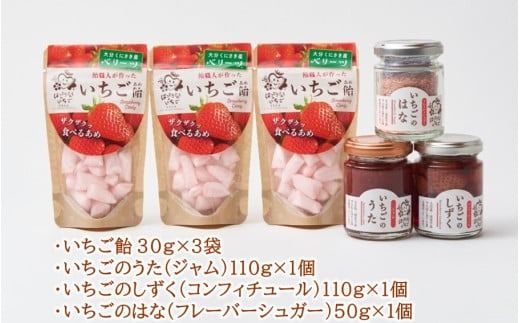 はっとりさんちのいちご飴Bセット_2526R