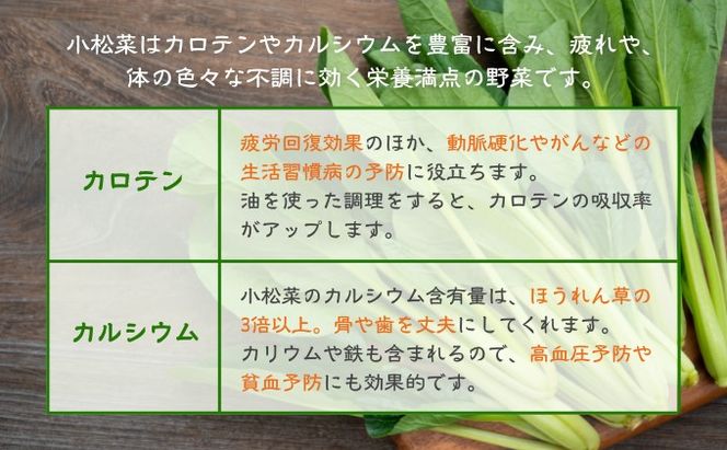 小松菜カレー 4個 加工食品 惣菜 レトルト 