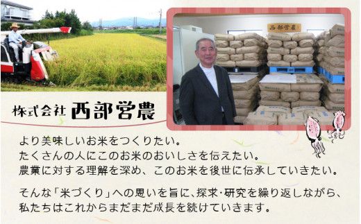 【訳あり】ほたるいか米（精米５kg）【通年発送】
