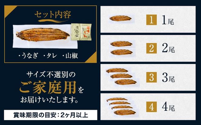 うなぎ ご家庭用 国産 ランキング 獲得 鰻 真空パック おすすめ うなぎの蒲焼 【贈答箱入り】《3-7日以内に出荷予定(土日祝除く)》 有頭 ふるさとのうぜい 鶏炭火焼 1尾 2尾 3尾 4尾 訳あり 定期便 簡易包装 不揃い 規格外 ウナギ unagi 蒲焼 秋 冬 旬 配送時期 冷凍---mifune_lcl_1451_1b---