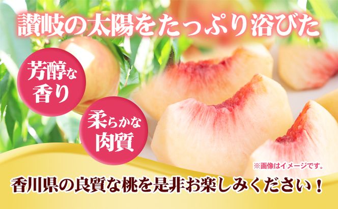 桃 讃岐の太陽育ち 5～10玉 1.8kg 旬の桃 もも モモ ピーチ フルーツ 果物 くだもの 果実 旬の果物 旬のフルーツ 香川 香川県 東かがわ市