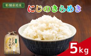 米 にじのきらめき 5kg 農家直送 特別栽培米 精米 令和7年度産 お米 新生活 贈り物 人気米 ご飯 白米 コメ 贈答 静岡県 藤枝市