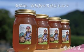 合計2400g 天然蜂蜜 国産蜂蜜 非加熱 生はちみつ 岐阜県 美濃市産 春 (蜂蜜600g入りガラス瓶4本)A8 深田養蜂のハチミツ