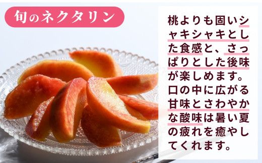 [2回定期便] 旬のネクタリン＆旬の桃 約2.6～3kg 食べ比べ 年2回定期便 ［おぶせファーマーズ］ネクタリン 白桃 旬の桃　ルーツ 果物 冷蔵便 クール便 長野県産 信州産 小布施 令和8年産【2026年7月中旬～8月下旬発送】