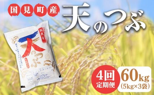 【全4回定期便】【令和6年産】米　国見町産　天のつぶ 60kg　5kg×3袋　4回定期便 ※九州・沖縄県・離島への配送不可 ※2024年10月中旬～2025年4月頃に順次発送予定