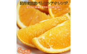 秀品 希少な国産バレンシアオレンジ 5kg