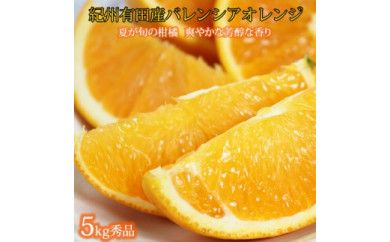 秀品 希少な国産バレンシアオレンジ 5kg