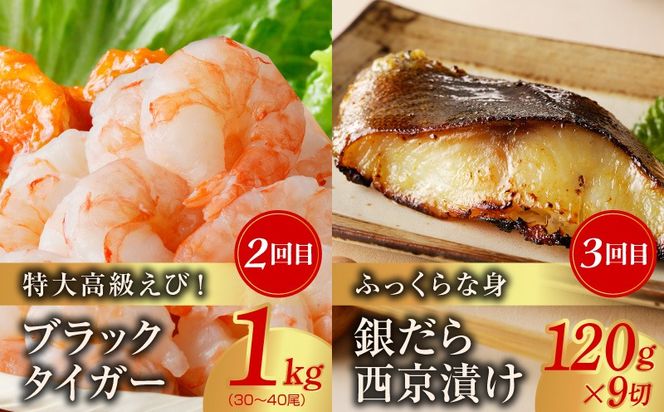 kgpZ018 海鮮食べ比べ 定期便 全5回 総量6kg以上【サーモン ブラックタイガー 銀鱈 銀鮭 鰹 訳あり サイズ不揃い 小分け 惣菜】
