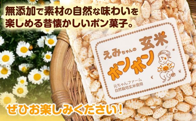 玄米ポンポン 元ちゃんファーム《90日以内に出荷予定(土日祝除く)》 和歌山県 紀の川市 玄米 菓子 送料無料---wsk_gncgmpp_90d_22_14000_300g---