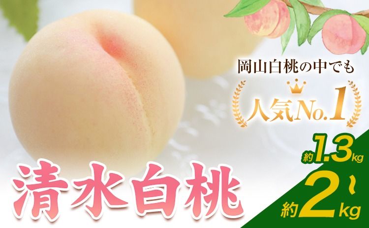 [2026年発送先行予約]清水白桃 8玉 5玉 約2kg 1.3kg 選べる内容量 晴れの国おかやま館[2026年7月下旬-8月上旬頃出荷] 白桃 フルーツ 果物 岡山県 矢掛町 桃 モモ もも 送料無料---ofn_choksh_l7_25_24500_13---