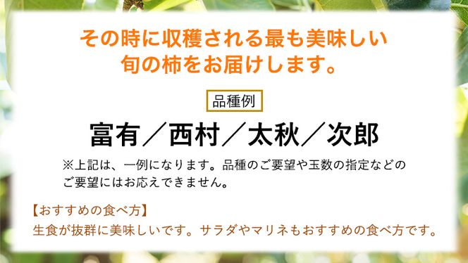 【 先行予約 】 品種おまかせ 採れたて天使の 甘柿 約 3kg（ 茨城県共通返礼品：かすみがうら市 ） 【 2026年10月頃発送 】 フルーツ かき カキ 果物 旬 新鮮 期間限定 甘い 国産