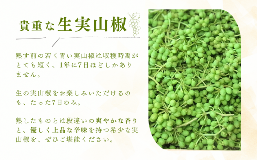 【先行予約・数量限定】 ぶどう生山椒 500g 【2025年5月中旬から5月下旬にお届けいたします】/山椒 さんしょう 生山椒 生さんしょう 調味料 スパイス 香辛料 山椒の実 山椒の実生 実【twn007A】