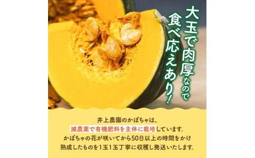 【令和７年発送】宮崎県産　スイートかぼちゃ１玉（2kg以上） 【 2025年発送 野菜 かぼちゃ 南瓜 九州産 宮崎県産 川南町産 新鮮 産地直送 】 [D03904]