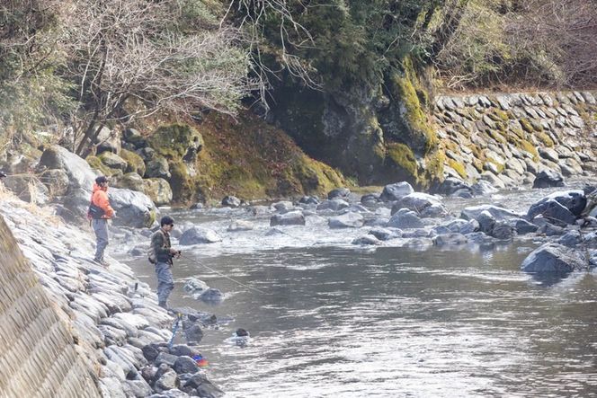 鮎沢川あまご釣り 「1日券」◆ | 游漁券 釣り フィッシング 鮎沢川 渓流釣り アマゴ 静岡県 御殿場市 ※2026年3月下旬頃より順次発送予定