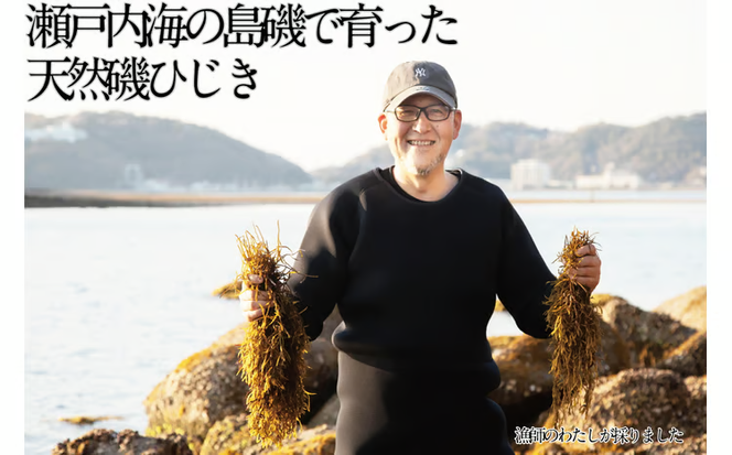 生炊きだからおいしい 瀬戸内 ひじき 28g×12袋 エビス水産【岡山 瀬戸内海 鉄釜炊 生炊 天然 乾燥】