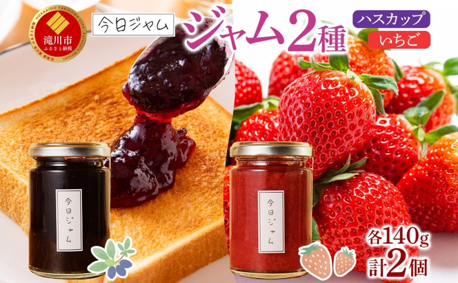 【ふるさと納税】ジャム2種セットB 各1個 ハスカップジャム いちごジャム  今日ジャム 北海道産 自家製 パン ヨーグルト 朝食 濃厚 甘い デザート スイーツ おやつ グルメ ご褒美 贅沢 ギフト 送料無料 北海道 滝川市