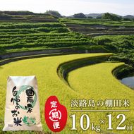 【定期便】淡路島の棚田米　10kg×12回（毎月発送）白米