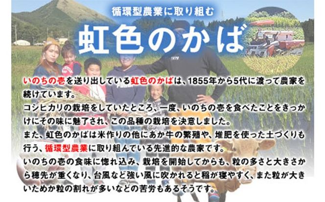 新米 令和6年産 特別栽培米 いのちの壱(白米) 10kg(5kg×2袋) 雑穀米付き《30日以内に出荷予定(土日祝除く)》 熊本県 南阿蘇村 熊本県産 虹色のかば 白米 雑穀米---sms_inci6_30d_24_25000_h10kg2---