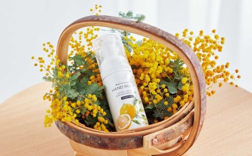 【 ミアミモザ 】【 ギフト箱入 】 ミアミモザ ハンドソープ 50ml 1本 化粧箱 ギフト箱 天然香料 が ふんわり 広がる クリーミー 泡 手洗い 液体 ギフト プレゼント 贈答 美容 コスメ 高知県 高知 四万十市 四万十 しまんと 25-71