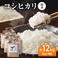 【先行予約】令和8年産 コシヒカリ精米2kg×6袋