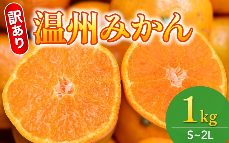 [和歌山県産]訳あり 温州みかん 1kg お試しに♪ (早生・中生・晩稲)[S〜2Lサイズおまかせ][2025年10月中旬〜2026年1月中旬頃までに順次発送][味好農園]/ 「おてんば娘」みかん