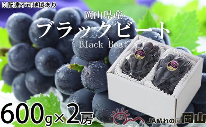 ぶどう 2026年 先行予約 ブラックビート 約600g×2房 ブドウ 葡萄 岡山県産 国産 フルーツ 果物 ギフト 岡山のぶどう 岡山の果物 デザート 食後 種無し 大粒 甘味 酸味 バランス