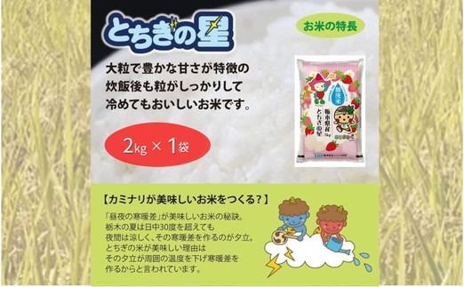 【定期便2ヶ月】栃木県鹿沼市産 とちぎの星 無洗米 令和7年産 2kg ｜ 水稲うるち精米 単一原料米 お米 特A 大粒 甘さ ※沖縄・離島への配送不可