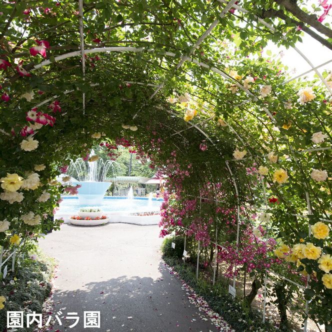 花巻温泉日帰り入浴回数券（10回分） 【1366】