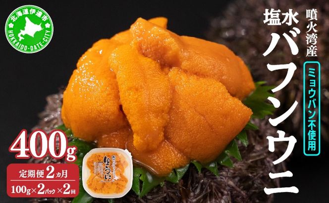 【定期便2カ月】北海道 噴火湾産 塩水 バフンウニ 100g 2パック《アフター保証付き》 うに ウニ 雲丹 海鮮 海の幸 魚介類 ウニ丼 お寿司 濃厚 無添加 産地直送 産直 お取り寄せ 山村水産 送料無料 【55250990】