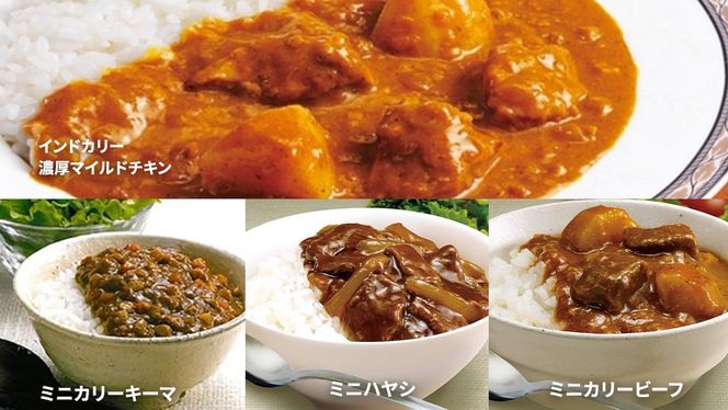 新宿 中村屋 レトルト カリー 食べ比べ セット 10種 13個入 人気 詰合せ 洋食 時短 カレー インドカレー ビーフ キーマ チキン バター チキン ハヤシ ベジタブル 野菜 長期保存 災害用 保存食 [DM009us] レンチン レンジ 
